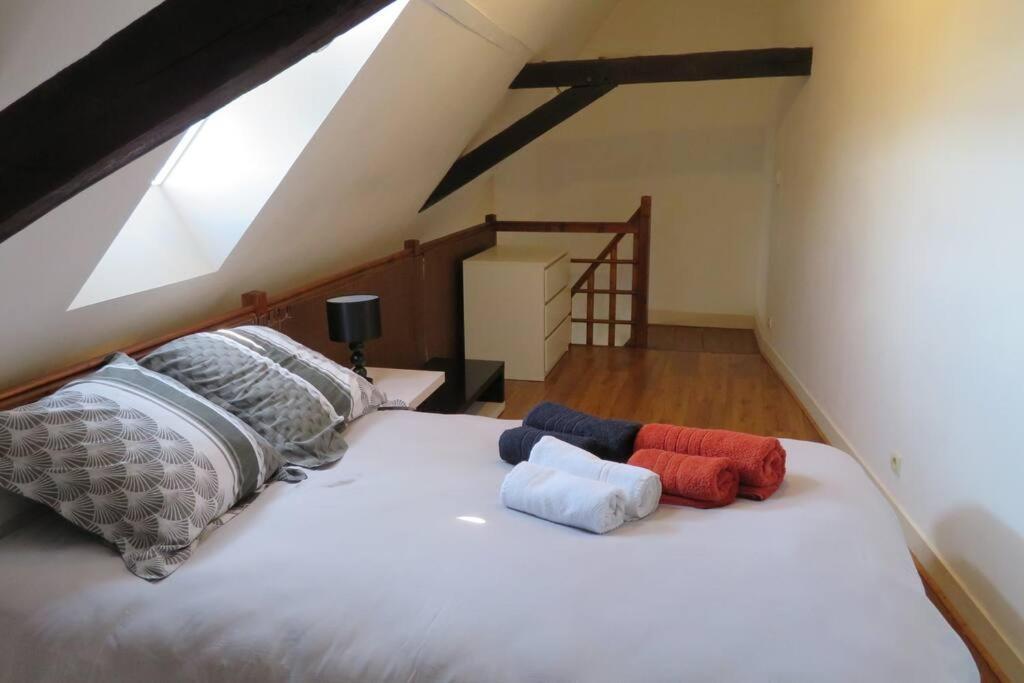 Loft De 53 M2 Centre Ville Blois,Tv Kültér fotó